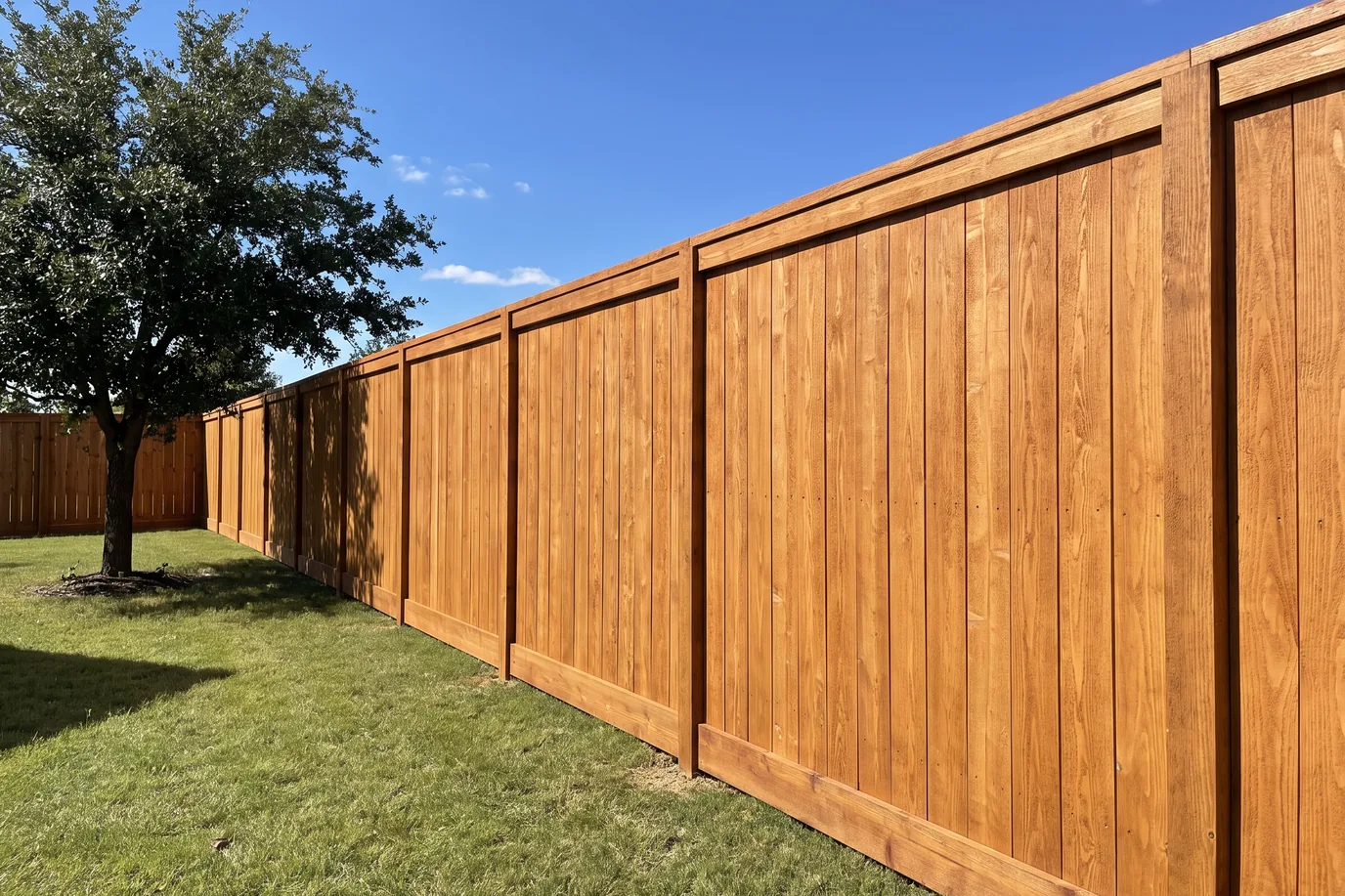 A long cedar privacy fence finished with a warm semitransparent stain in a backyard